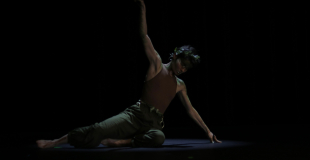 Pensée de la forêt revient à la vie