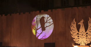 Projections sur décorum