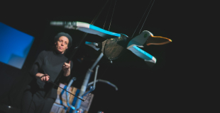 L'oiseau marionnettes à fils