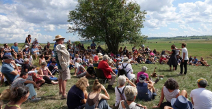 Le spectacle en plein air