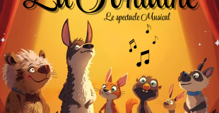 Affiche du spectacle