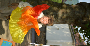 Les flammes des volcans