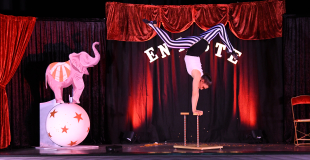 Equilibres sur les mains