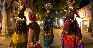 échassiers lumineux danse des couleurs