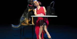 Crédit photo Daniel Michelon