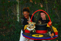 Numéro de cirque, Le tigre et Patrick