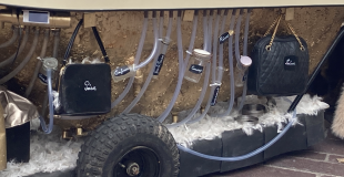 Adélaïde Poux et son Laboratoire de trottoir, poésie