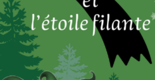Les Lutins et l'étoile filante
