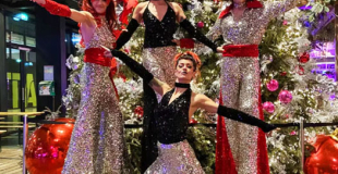 Echassiers Disco Fever et artiste au sol