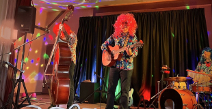 Camion vert des chansons rigolotes