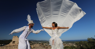 Echassiers Blancs féériques 
