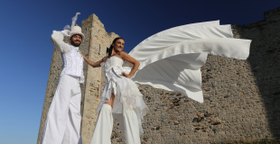 Echassiers blancs féériques