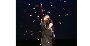 L'effet poussière de fée qui apporte de la magie dans le spectacle 