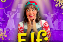 Elfi et ses drôles de farce - Waou Productions (Tarn, Occitanie)