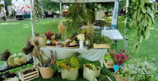 Ateliers couronne, décoration florale,Tableaux tissés de fleurs. On apprend à composer sa création et on la remporte chez soi ! Chaque fête a ses propres fleurs ! Pâques, Halloween, Noël, Maman … A toutes les saisons on cueille …
