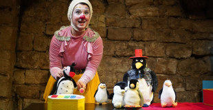 Magic Pinguin Circus : magie, marionnette et clown