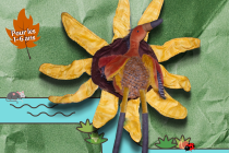 Affiche du spectacle