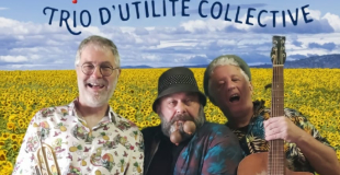 Les TUC'S ( Trio d'Utilité Collective ) 