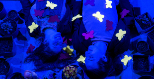 Un souci nommé Algos - Photo de Pauline Potelle Photographie