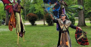 Jongleurs et échassiers papillons