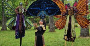 spectacle papillon et nature