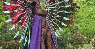 papillon sur échasses