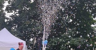 Le Dompteur de Bulles fait jaillir une pluie de bulles en extérieur pour festivals et événements familiaux.
