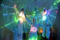 échassiers lumineux