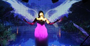 Show Céline en hommage aux chansons de Céline Dion par Laurine Dan