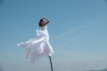 Sway Pole Aerial Adel