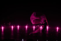 Show de jonglerie LED moderne pour un mariage dans un domaine du Rhône.