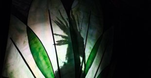 Toki en ombres derrière l'écran feuillage