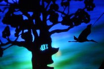 Wo Shu, l'arbre refuge de Shemza