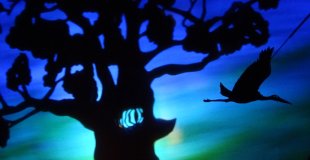 Wo Shu, l'arbre refuge de Shemza