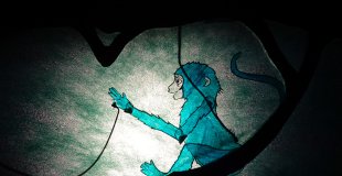 Makao, dans l'arbre