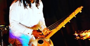 Musique en direct : découverte de la kora et plein d'autres instruments traditionnels africains.