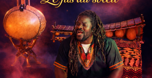 Le Fils du Soleil : contes, chants, rythmes et traditions d’Afrique dans un spectacle vivant et chaleureux.