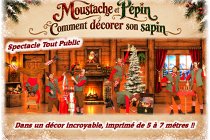Un incroyable décor representant l'interieur d'un chalet (decor modulable de 5 à 7 metres de long)