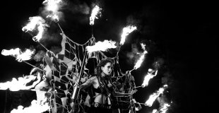 paon feu