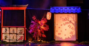 décor de Sakura, le réveil des fleurs